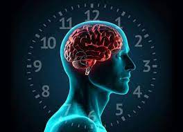 Вчені назвали нову небезпеку порушення циркадних ритмів